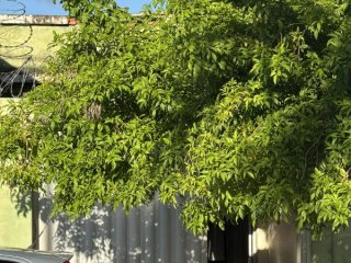 Imagem do imóvel CA74212