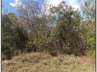 Imagem do imóvel TE24091