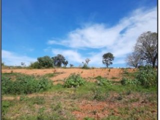 Imagem do imóvel TE53054