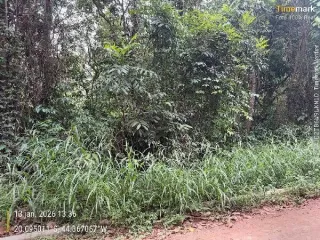 Imagem do imóvel TE52817
