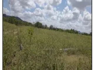 Imagem do imóvel AP99108